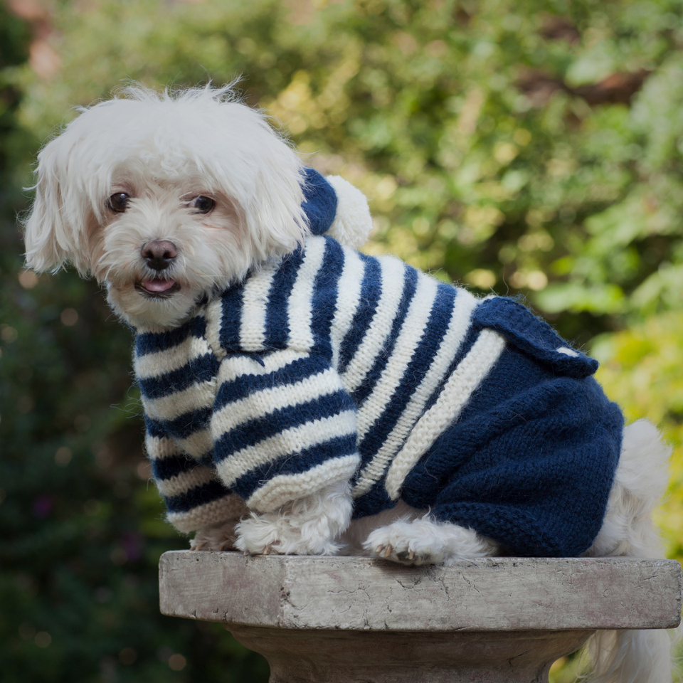 Pet Apparel and Accessories