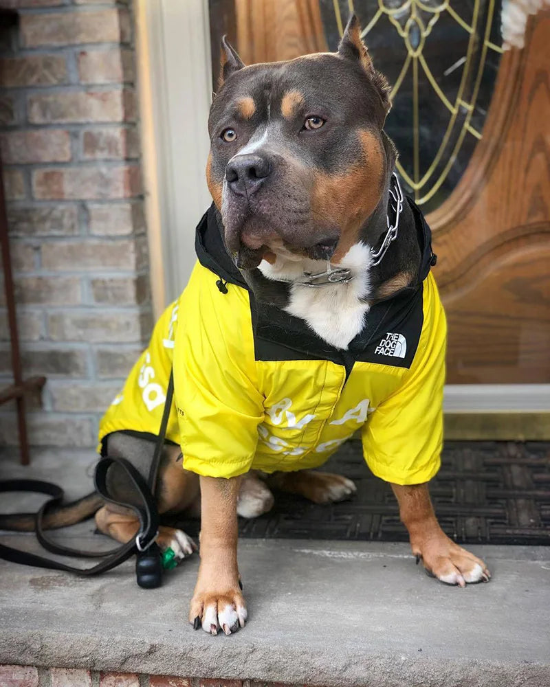 Dog Raincoat Windbreaker Hoodie for Small & Big Dogs