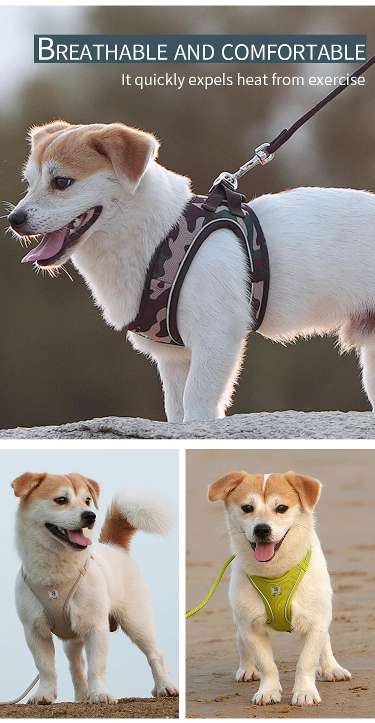 Adjustable Reflective Dog Harness & Leash Set – For Small to Medium Pets