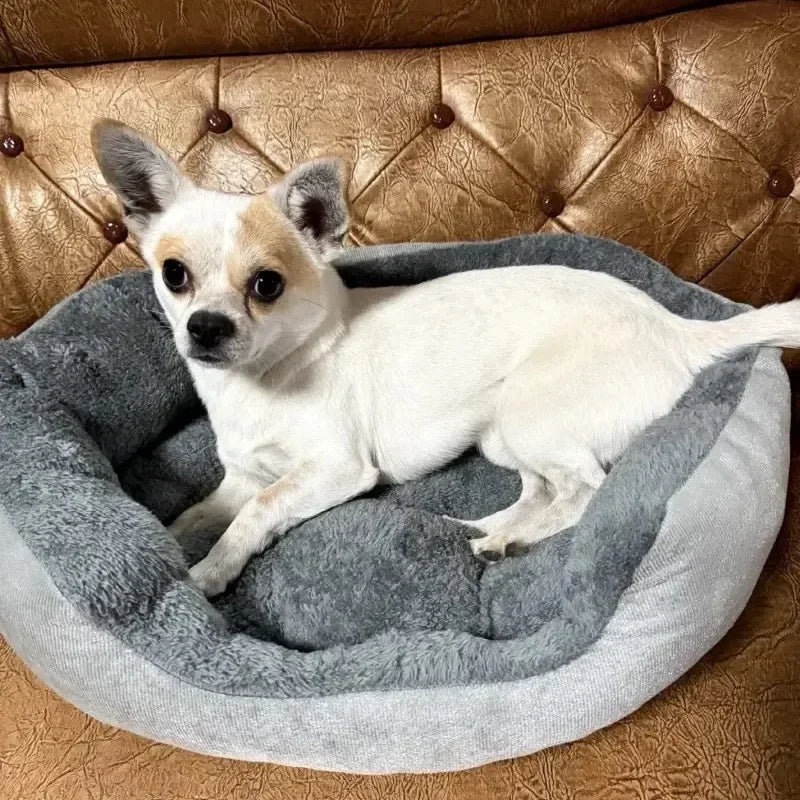 Soft Dog & Cat Bed – Warm Cushion Sofa for Medium & Large Pets