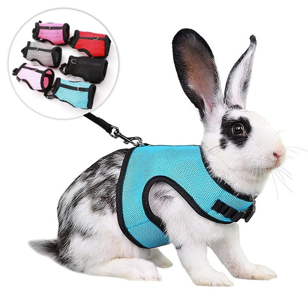 Breathable Rabbit Harness & Leash Set – Soft Vest Carrier with Adjustable Fit