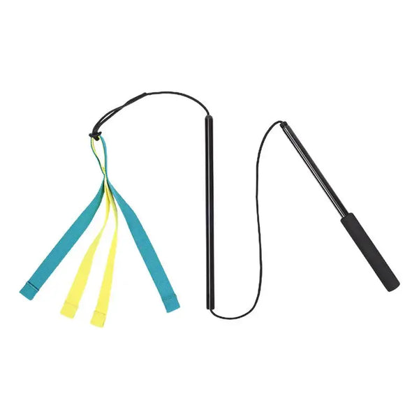 Interactive Dog Flirt Pole Toy