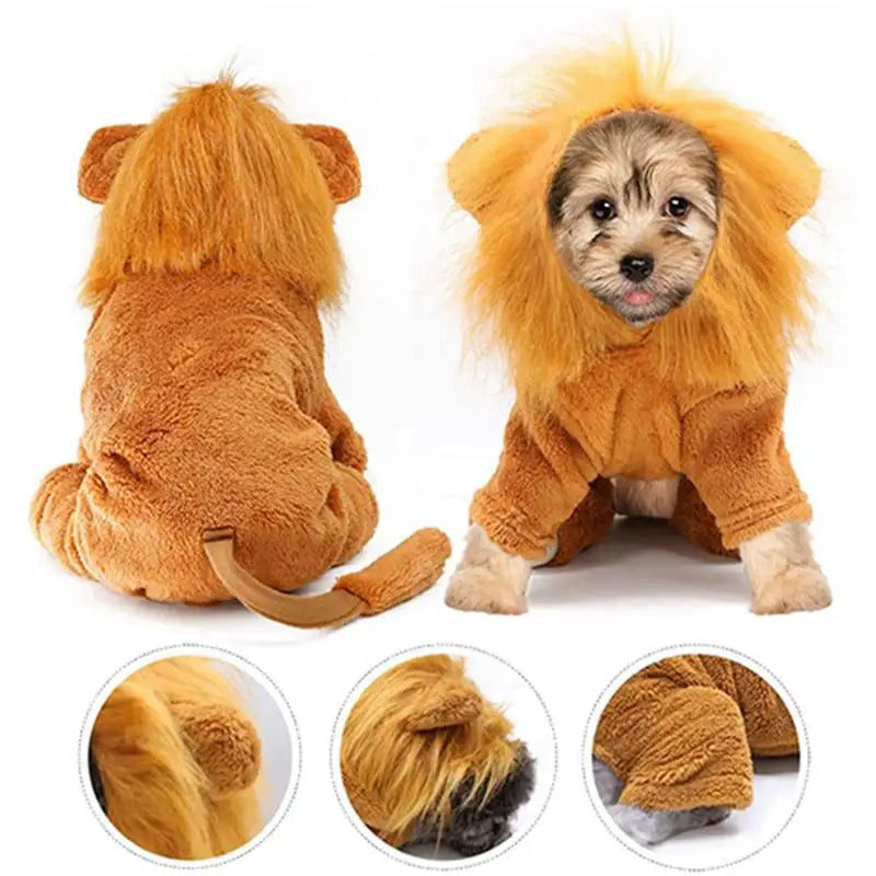 Cute Lion & Tiger Cartoon Hoodie Pet Costume