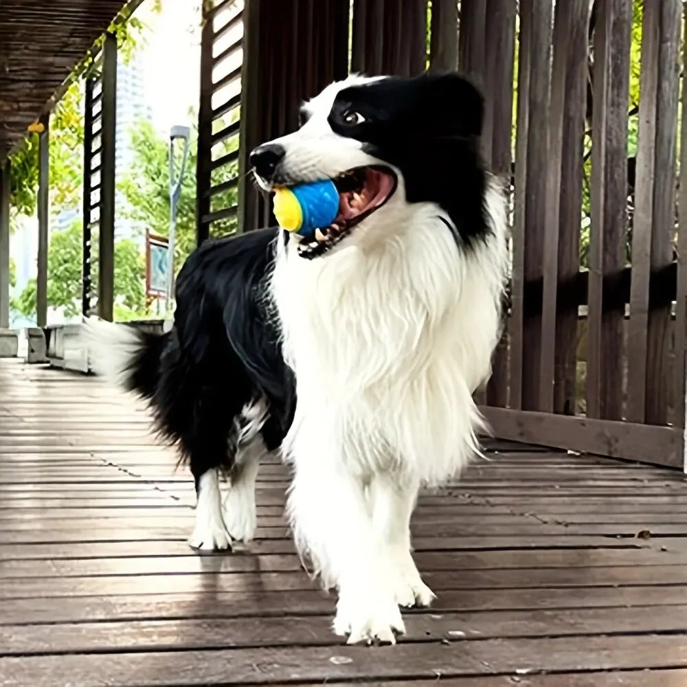 Durable Dog Chew Ball – Interactive Teeth-Cleaning Toy