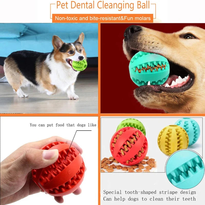 Interactive Rubber Chew Ball Toy
