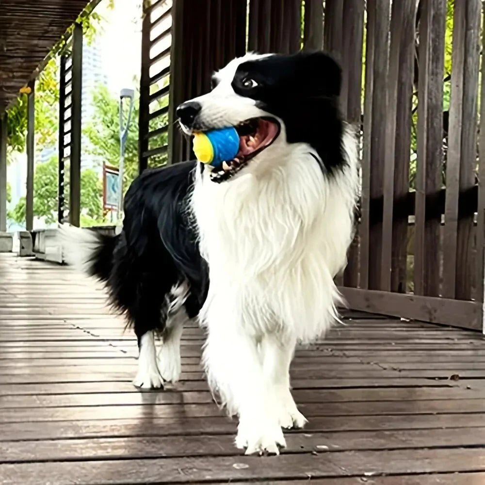 Durable Dog Chew Ball – Interactive Teeth-Cleaning Toy