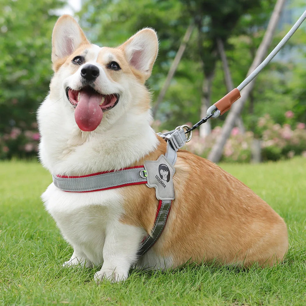 Adjustable Reflective Mesh Dog Harness – For Small & Large Dogs and Cats