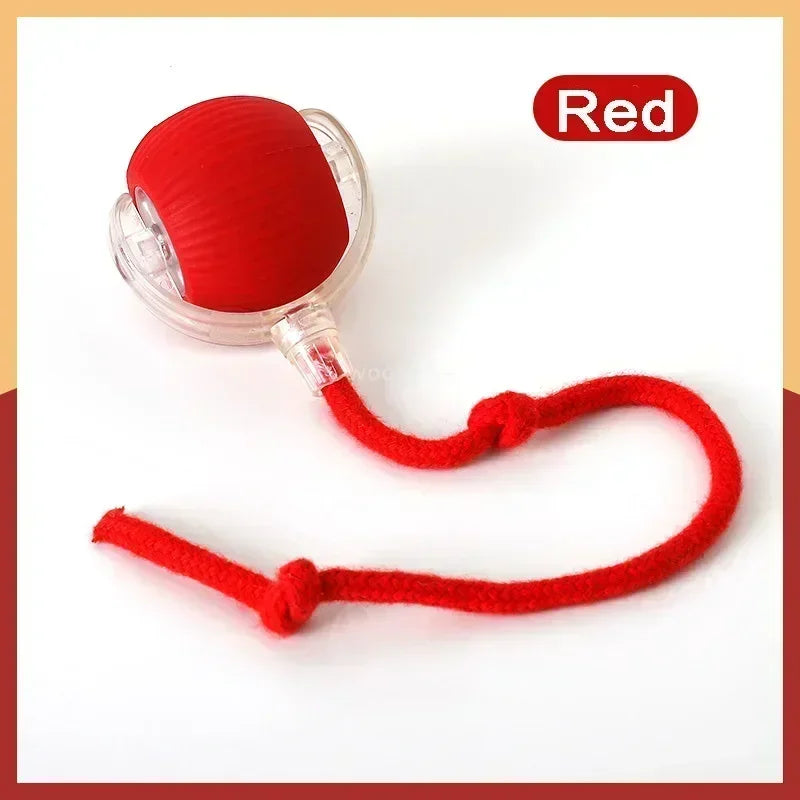 2025 Electric Automatic Rolling Dog Ball Toy