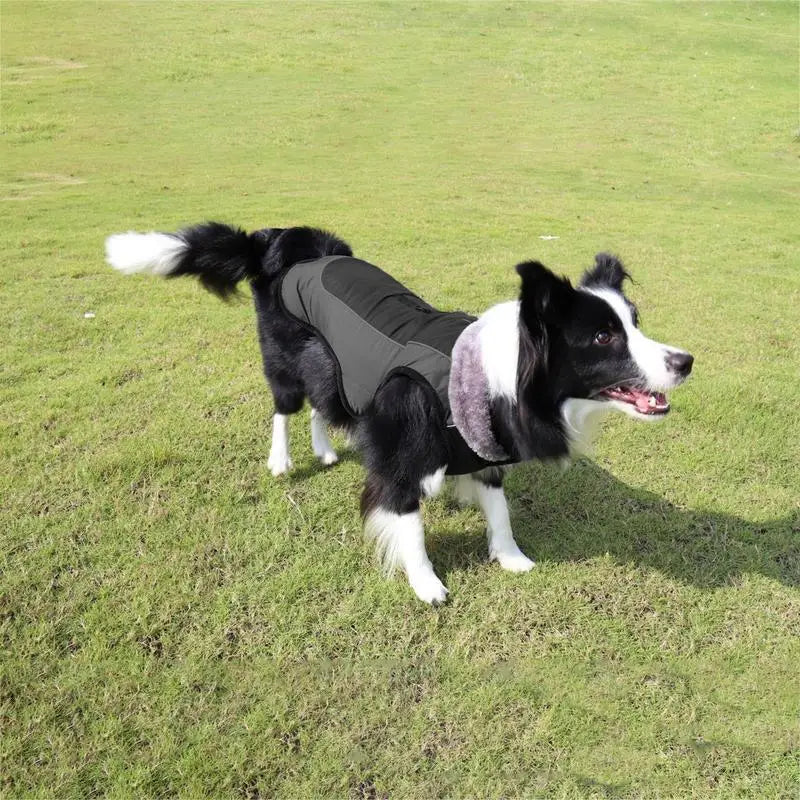 Warm Reflective Snow Jacket for Large Dogs
