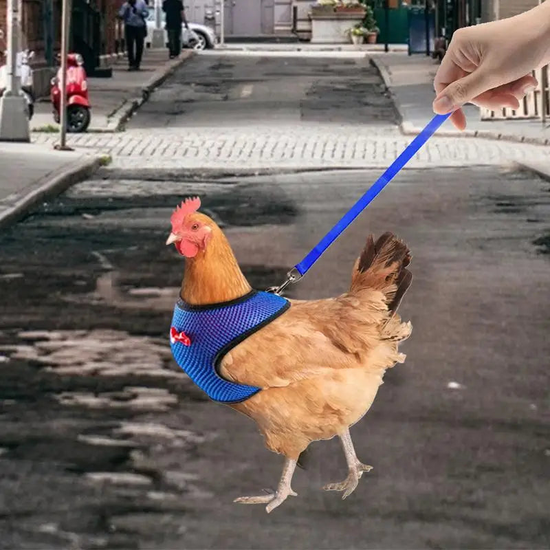 Adjustable Chicken Harness Vest with 3.6ft Training Rope