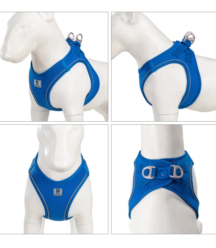Adjustable Reflective Dog Harness & Leash Set – For Small to Medium Pets