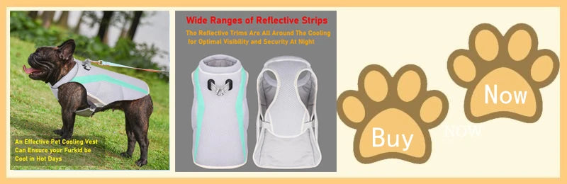 Reflective Dog Cooling Vest with Quick-Release – Summer Jacket for All Sizes