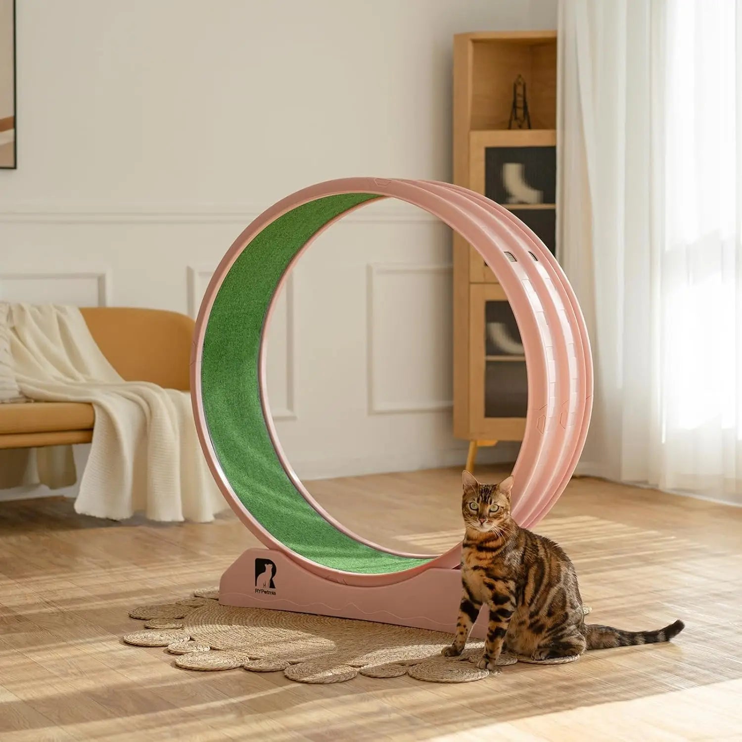 Cat Exercise Running Wheel with Carpeted Track