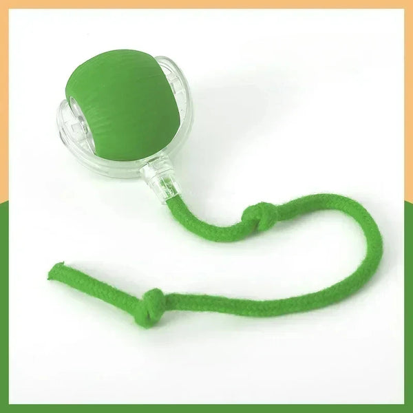 2025 Electric Automatic Rolling Dog Ball Toy