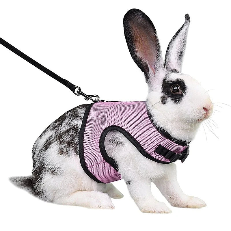 Breathable Rabbit Harness & Leash Set – Soft Vest Carrier with Adjustable Fit