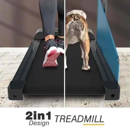 Folding Dog Treadmill for Small & Medium Dogs