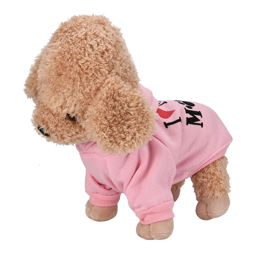 Warm Hoodie for Cats & Small Pets – Cozy Jacket Outfit