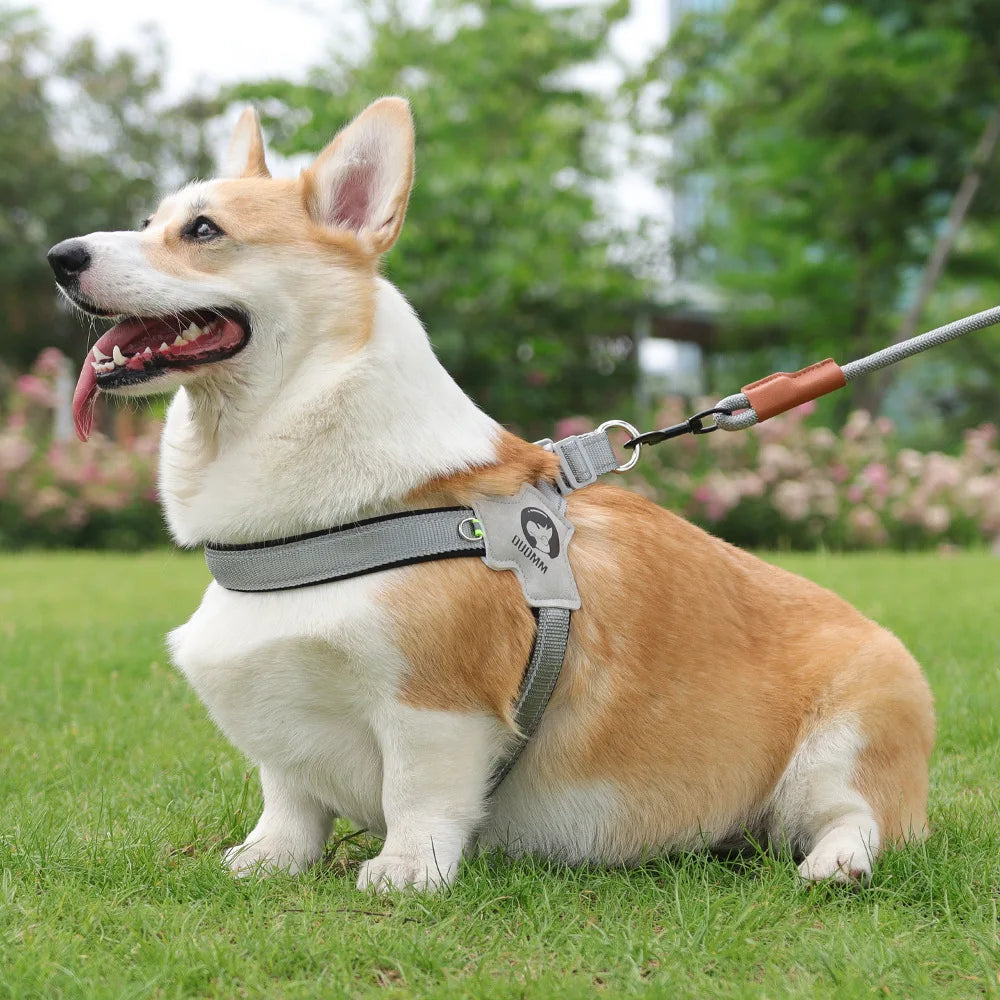 Adjustable Reflective Mesh Dog Harness – For Small & Large Dogs and Cats