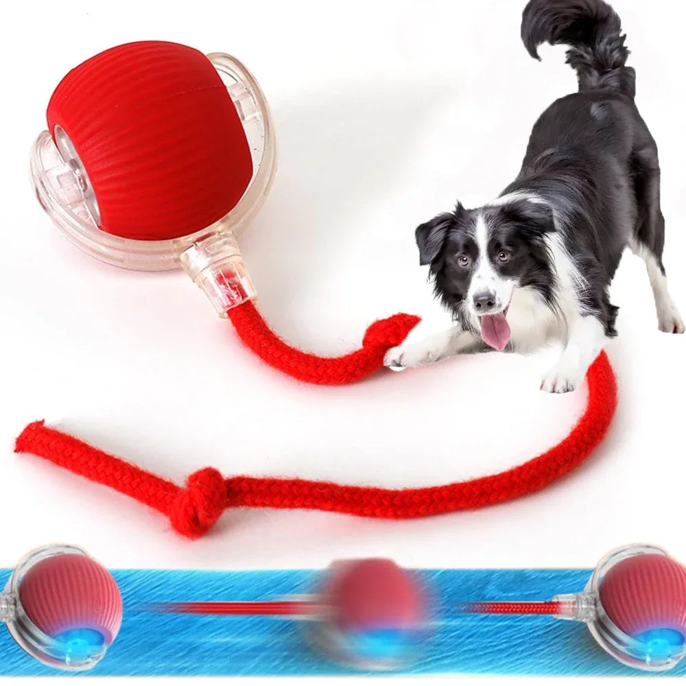 2025 Electric Automatic Rolling Dog Ball Toy
