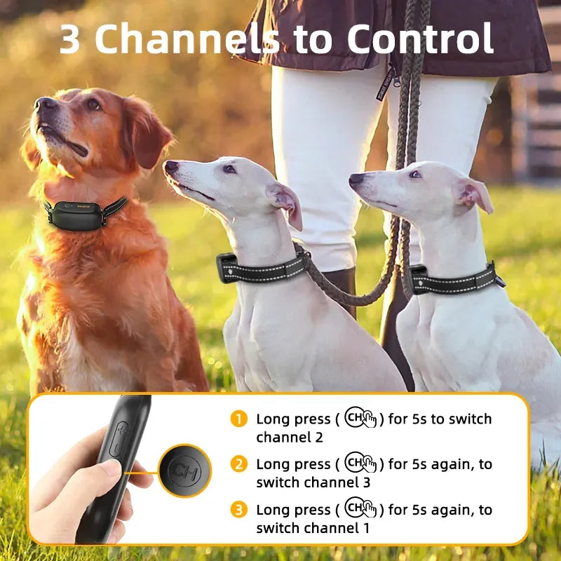 ROJECO Rechargeable Waterproof Dog Training Collar