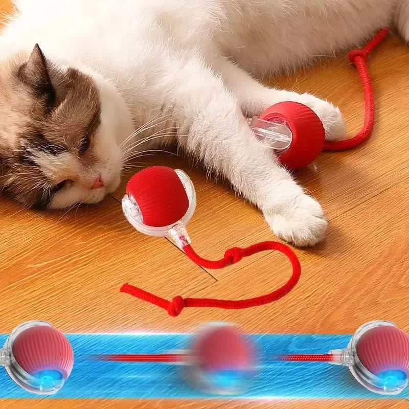2025 Electric Automatic Rolling Dog Ball Toy