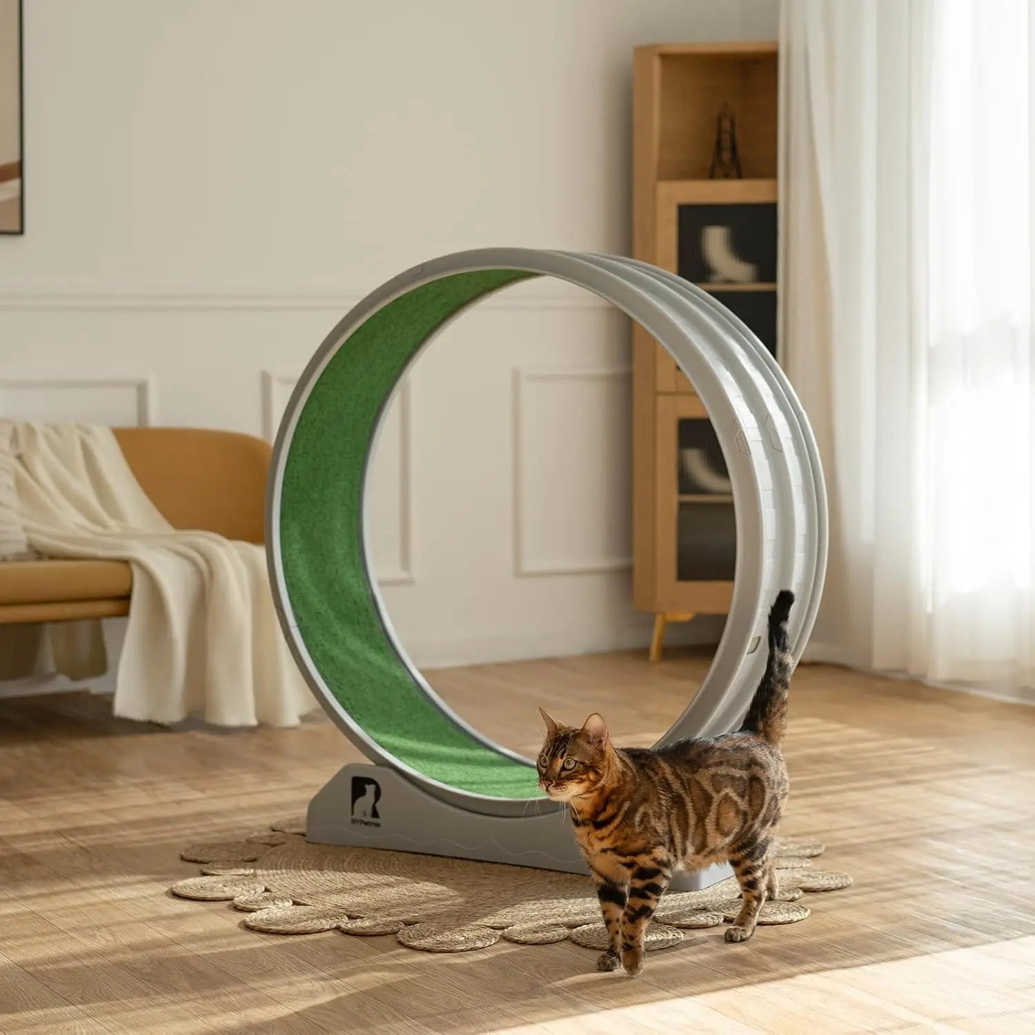 Cat Exercise Running Wheel with Carpeted Track