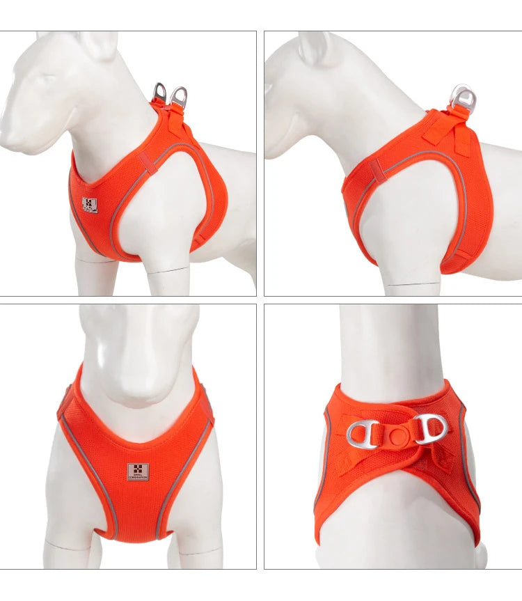 Adjustable Reflective Dog Harness & Leash Set – For Small to Medium Pets