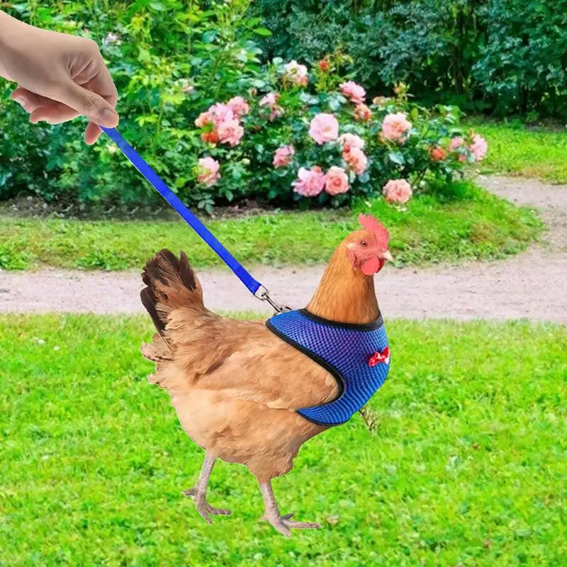 Adjustable Chicken Harness Vest with 3.6ft Training Rope