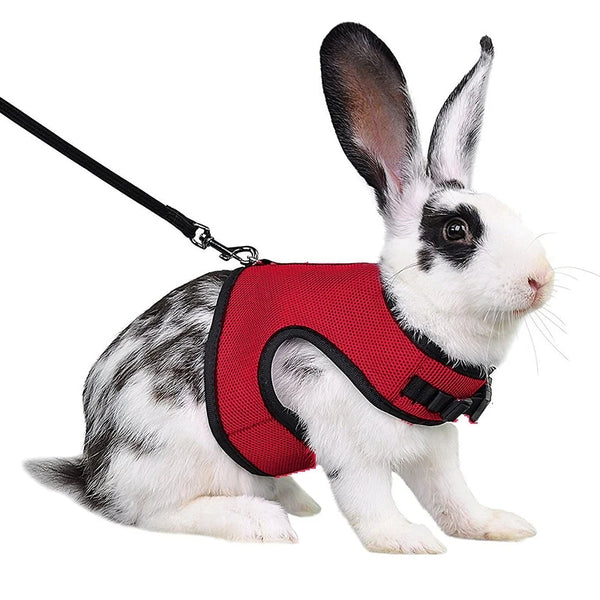 Breathable Rabbit Harness & Leash Set – Soft Vest Carrier with Adjustable Fit