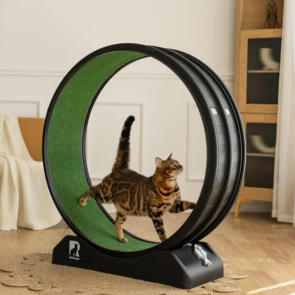 Cat Exercise Running Wheel with Carpeted Track
