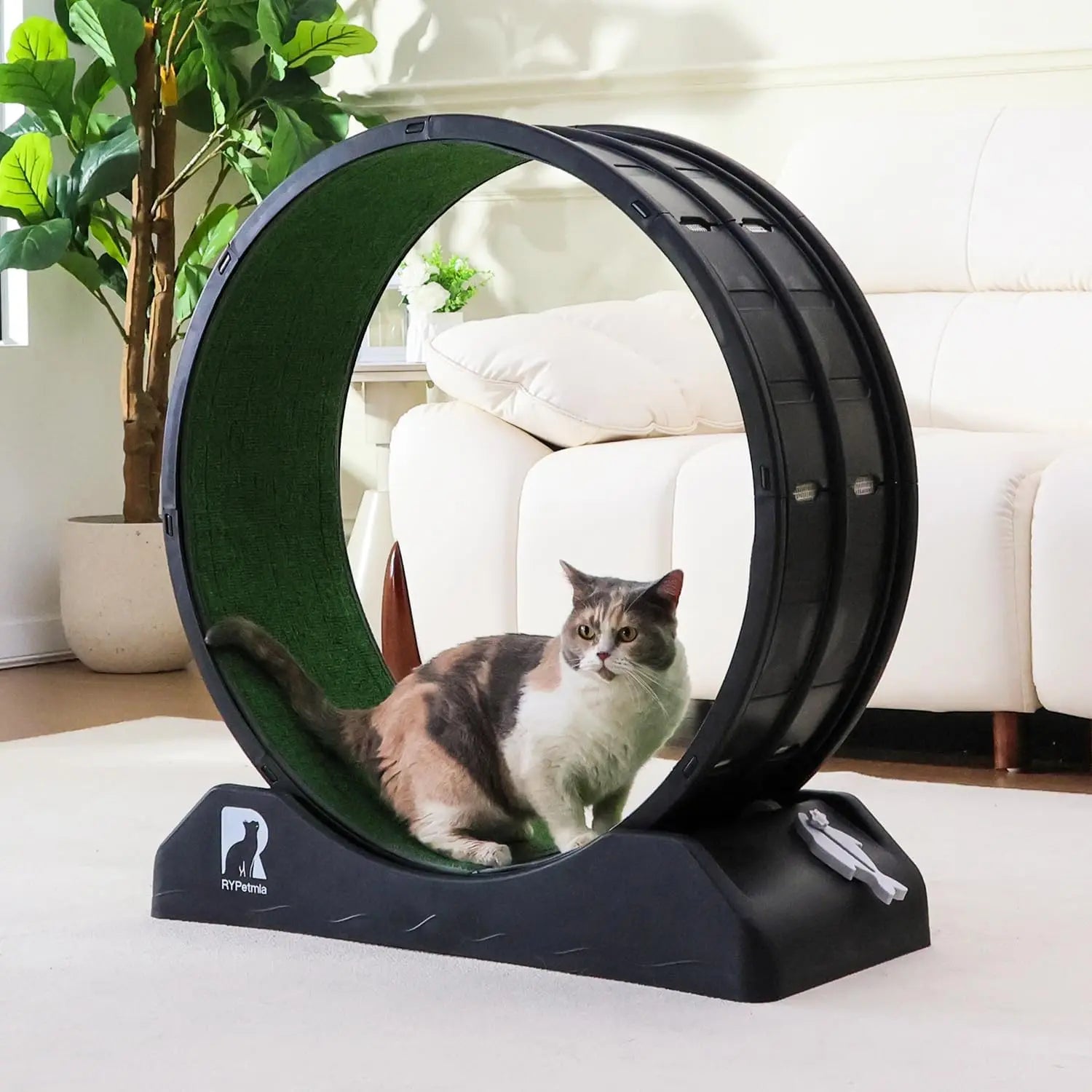 Cat Exercise Running Wheel with Carpeted Track