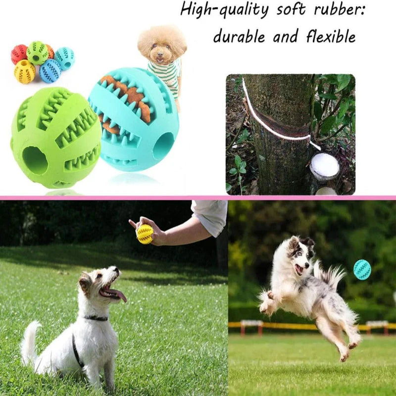 Interactive Rubber Chew Ball Toy