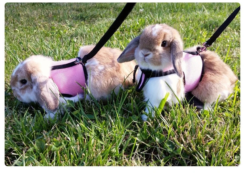 Breathable Rabbit Harness & Leash Set – Soft Vest Carrier with Adjustable Fit