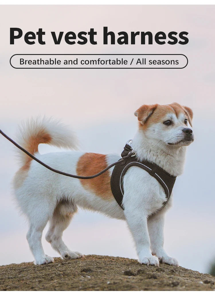 Adjustable Reflective Dog Harness & Leash Set – For Small to Medium Pets