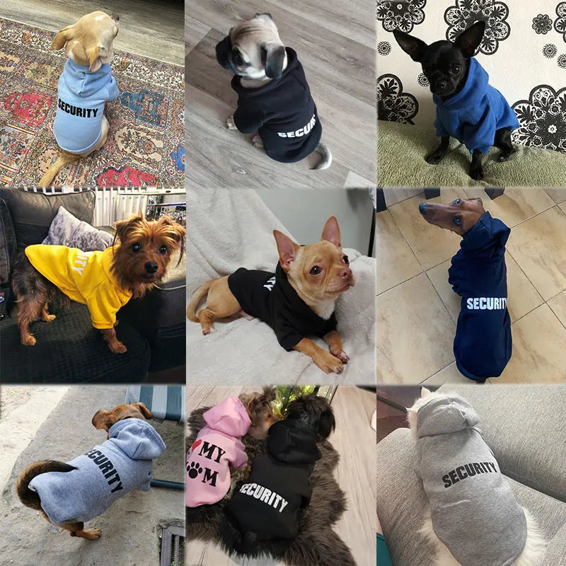 Warm Hoodie for Cats & Small Pets – Cozy Jacket Outfit