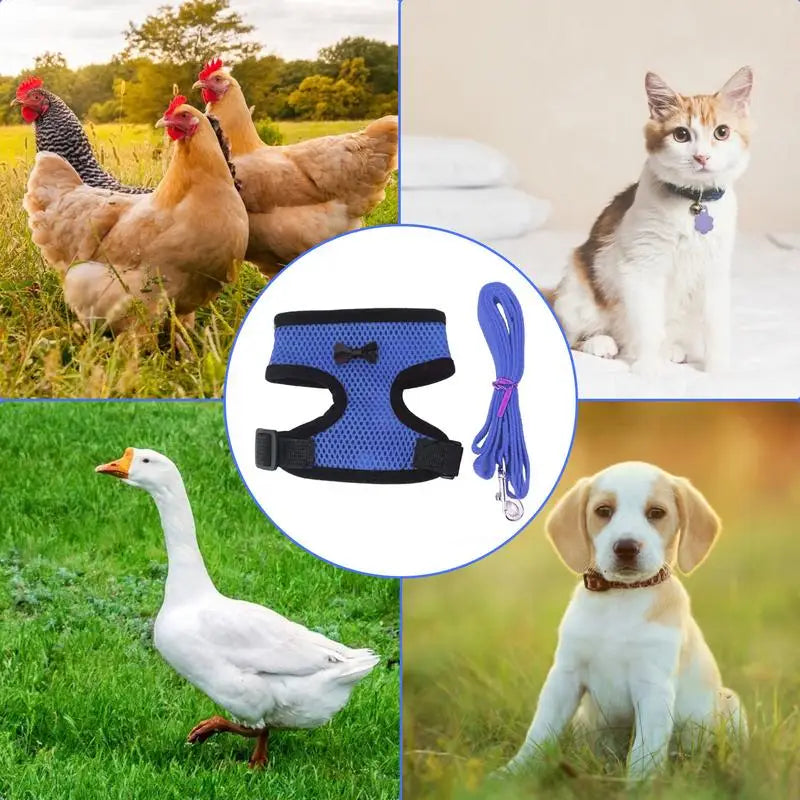 Adjustable Chicken Harness Vest with 3.6ft Training Rope