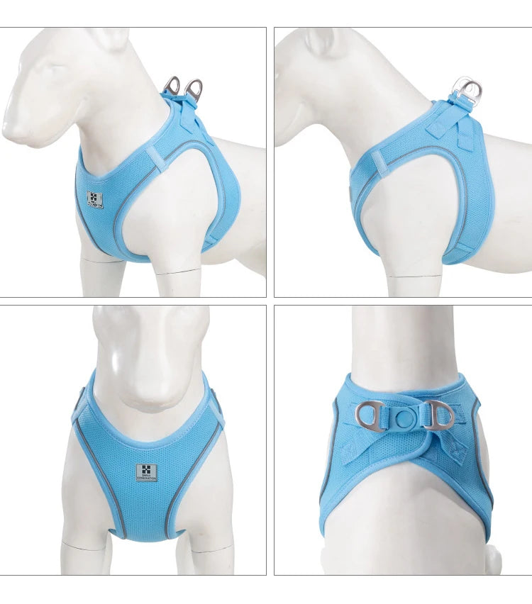 Adjustable Reflective Dog Harness & Leash Set – For Small to Medium Pets