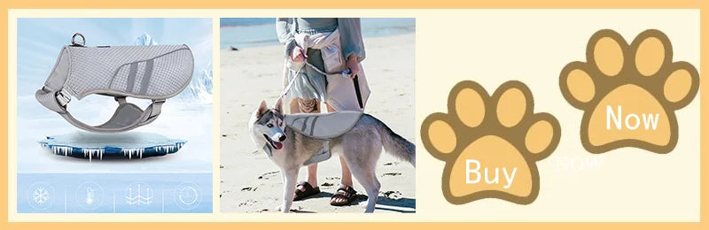 Reflective Dog Cooling Vest with Quick-Release – Summer Jacket for All Sizes