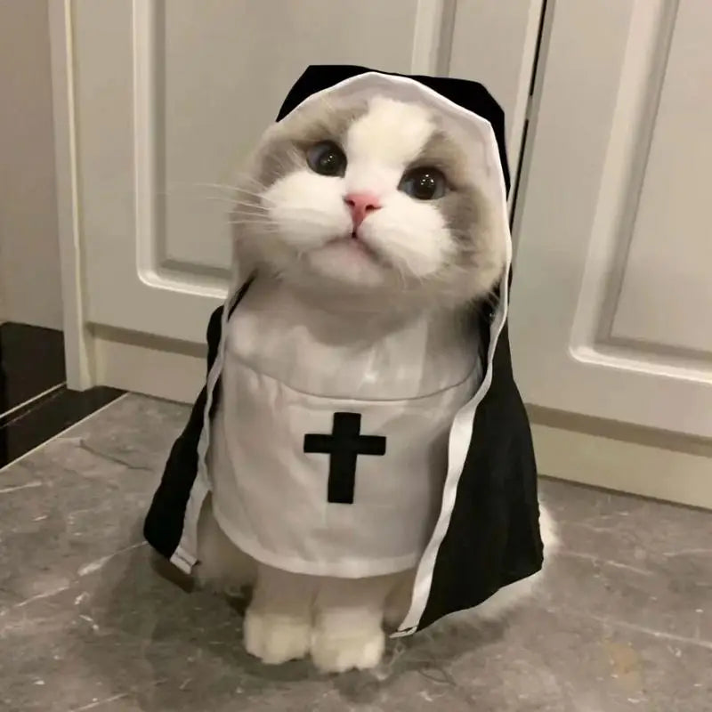 Funny Nun Costume for Small Dogs – Halloween Pet Outfit