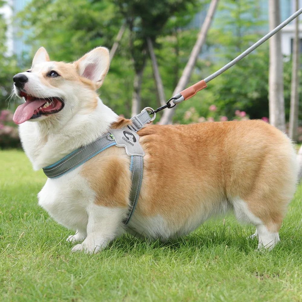 Adjustable Reflective Mesh Dog Harness – For Small & Large Dogs and Cats