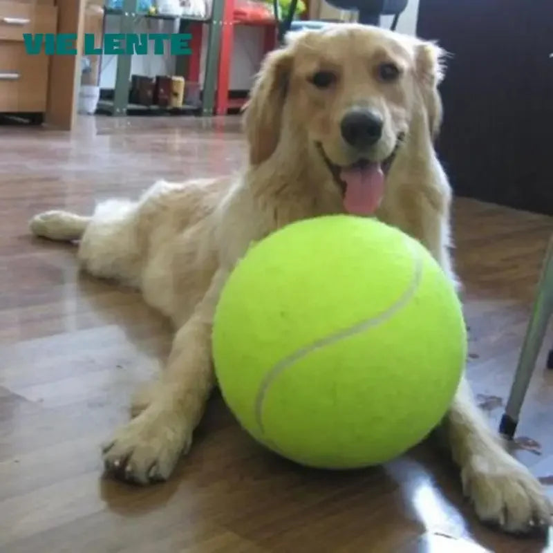 Giant Dog Tennis Ball Toy