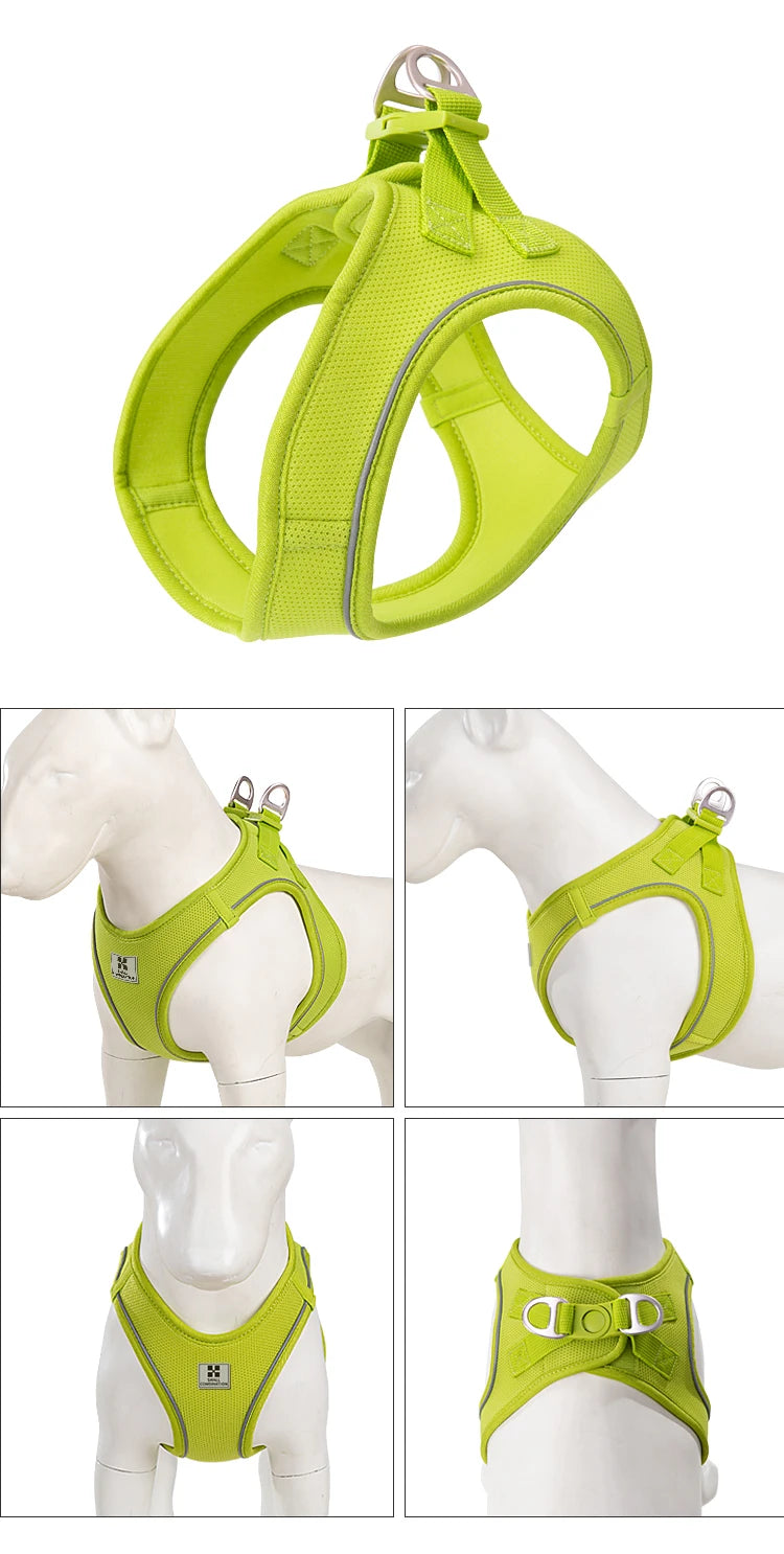 Adjustable Reflective Dog Harness & Leash Set – For Small to Medium Pets