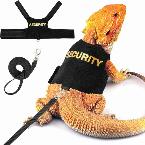 Reptile Harness with Dragon Wings – Soft Padded Leash Vest for Small Pets