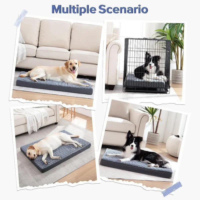 Large Egg Crate Foam Dog Bed with Waterproof Cover