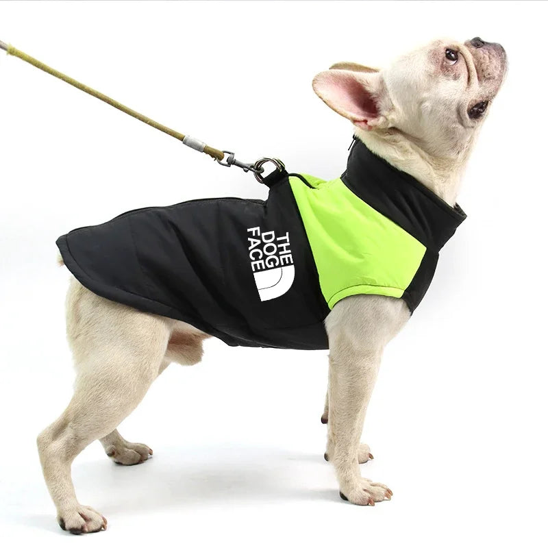 Waterproof Padded Dog Coat with Zipper