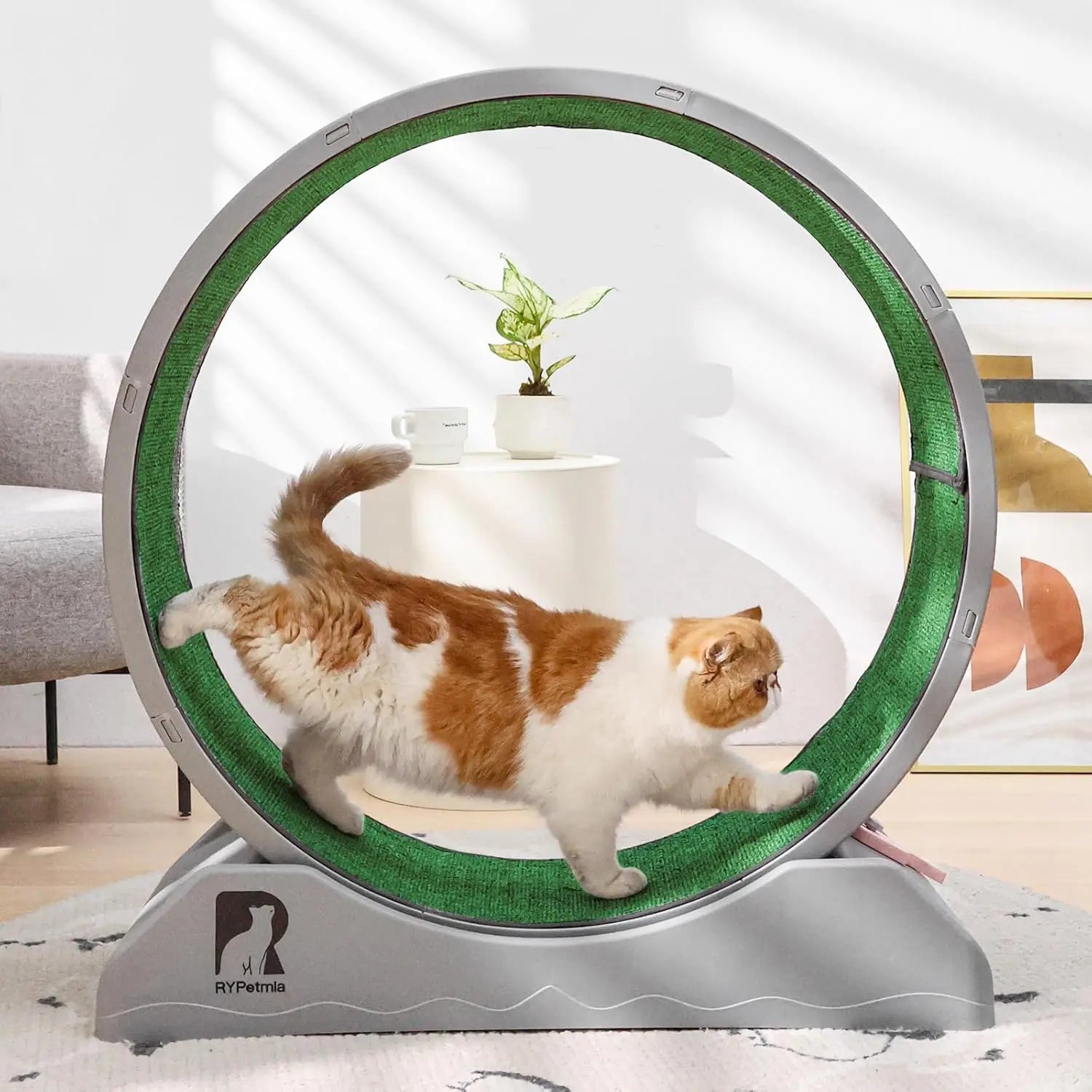 Cat Exercise Running Wheel with Carpeted Track