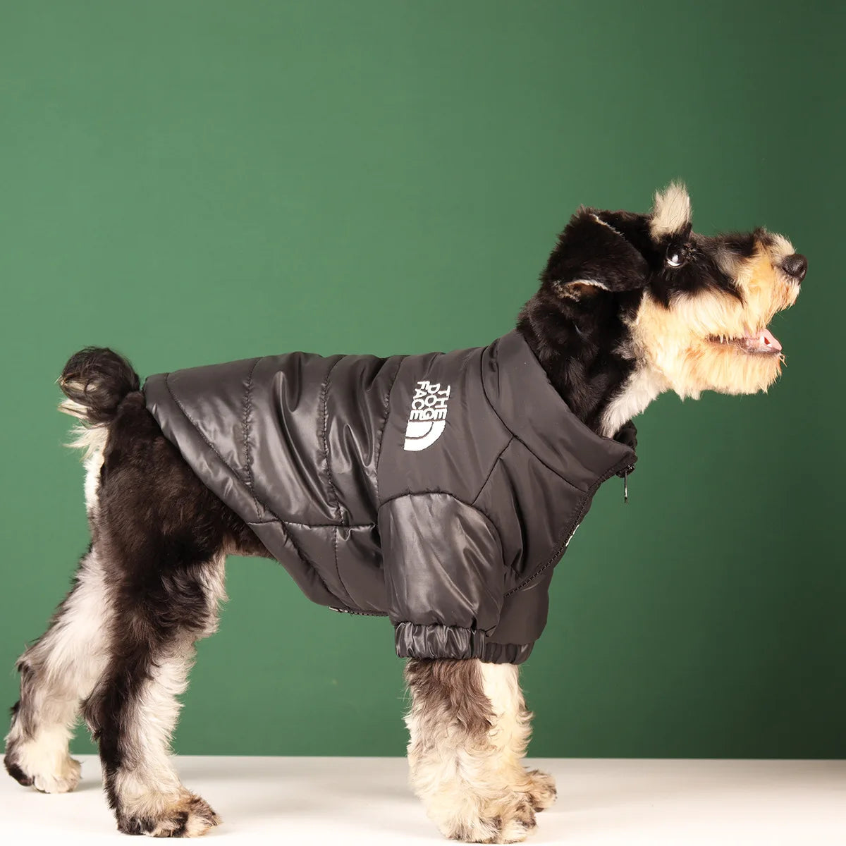 Large Winter Windproof Reflective Dog Jacket