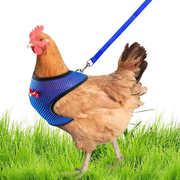 Adjustable Chicken Harness Vest with 3.6ft Training Rope