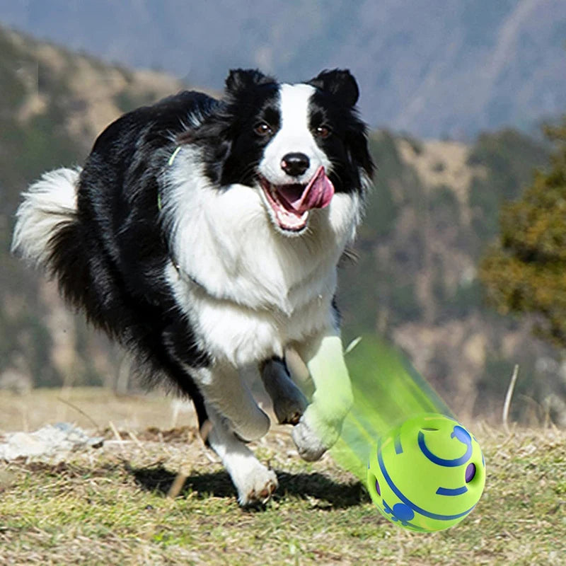 Wobble Wag Glow Ball – Interactive Giggle Dog Toy