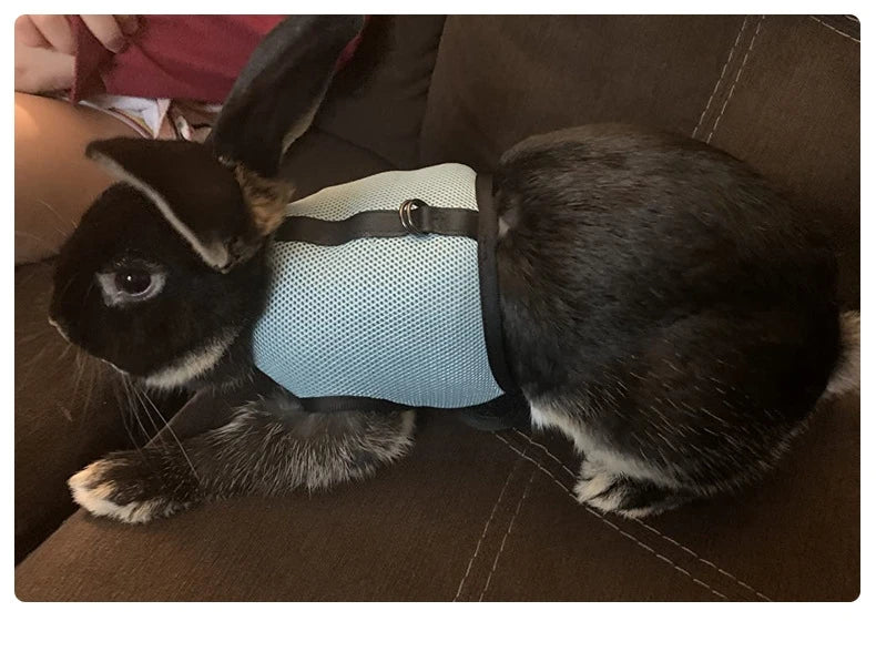 Breathable Rabbit Harness & Leash Set – Soft Vest Carrier with Adjustable Fit